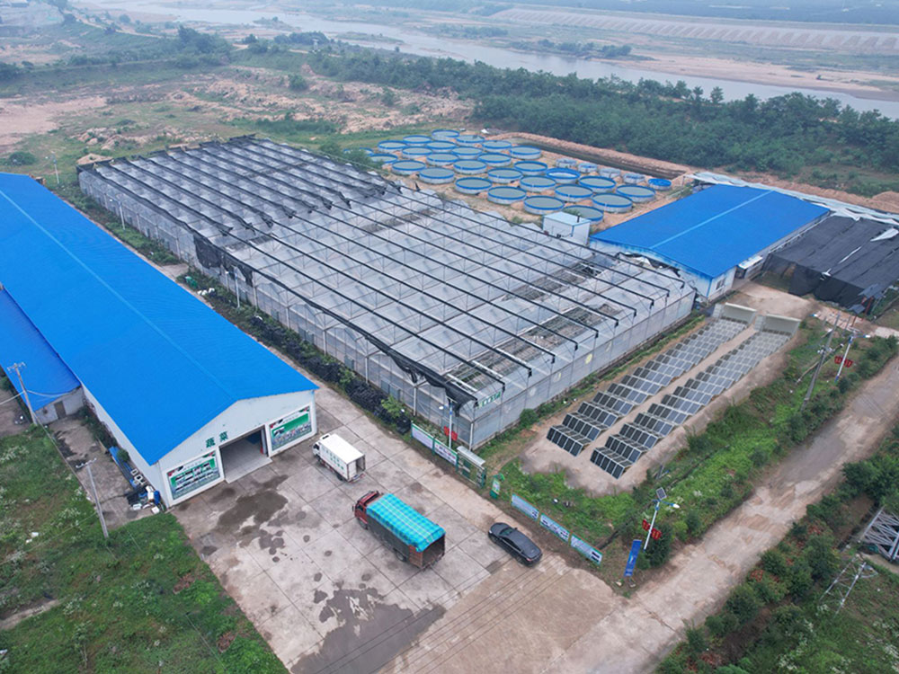 Solar Power Containers for Kendi kendine sağlanan güç kaynağı